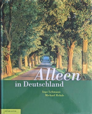 Alleen in Deutschland - Bedeutung | Pflege | Entwicklung (Edition Leipzig)