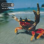 Prodigy - The Fat Of The Land