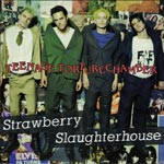 Strawberry Slaughterhouse - Teenage Torture Chamber
