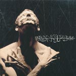 Transpunk - Champagne pigs [CD]