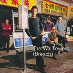 Wallflowers - (Breach) [CD]
